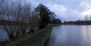 Tixall Wide
