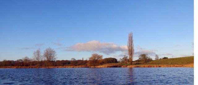TIXALL WIDE