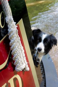 Wish - Keeping A Lookout