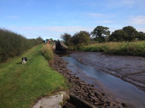 Bosley Pound Maintenance