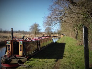 Early Start From Marbury